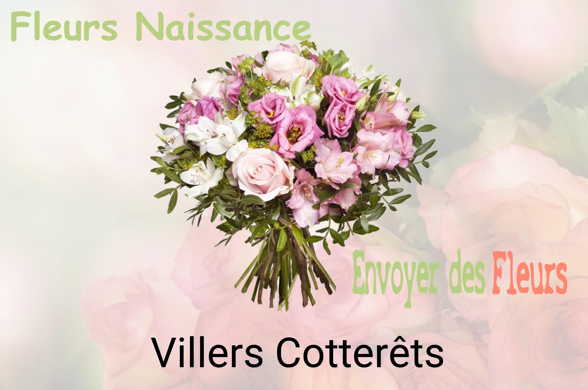 Bouquet de fleurs de naissance livré à Villers-Cotterêts