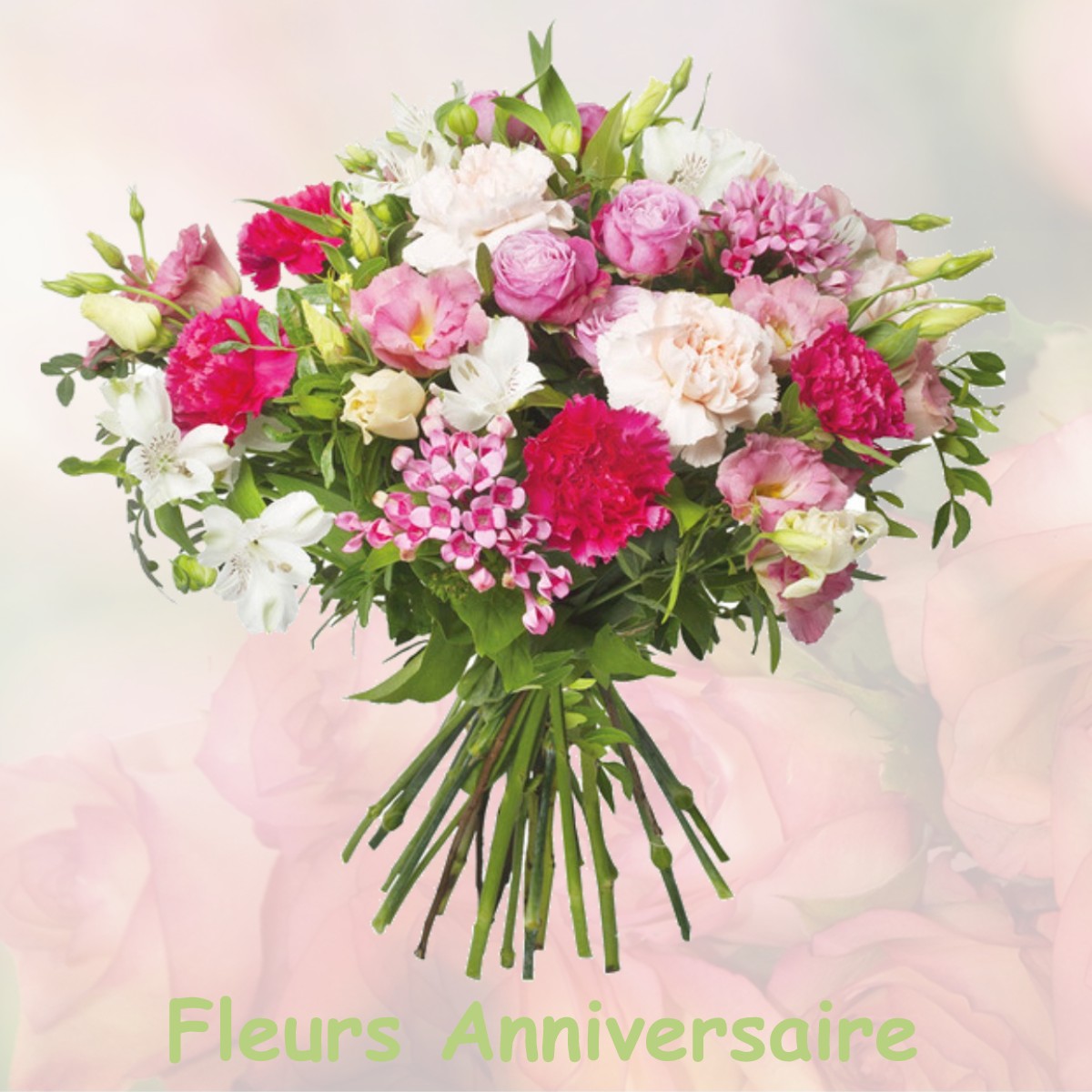 fleurs anniversaire VILLERS-COTTERETS
